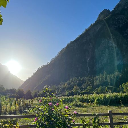 Guesthouse Gezim Selimaj Valbona Exteriör bild