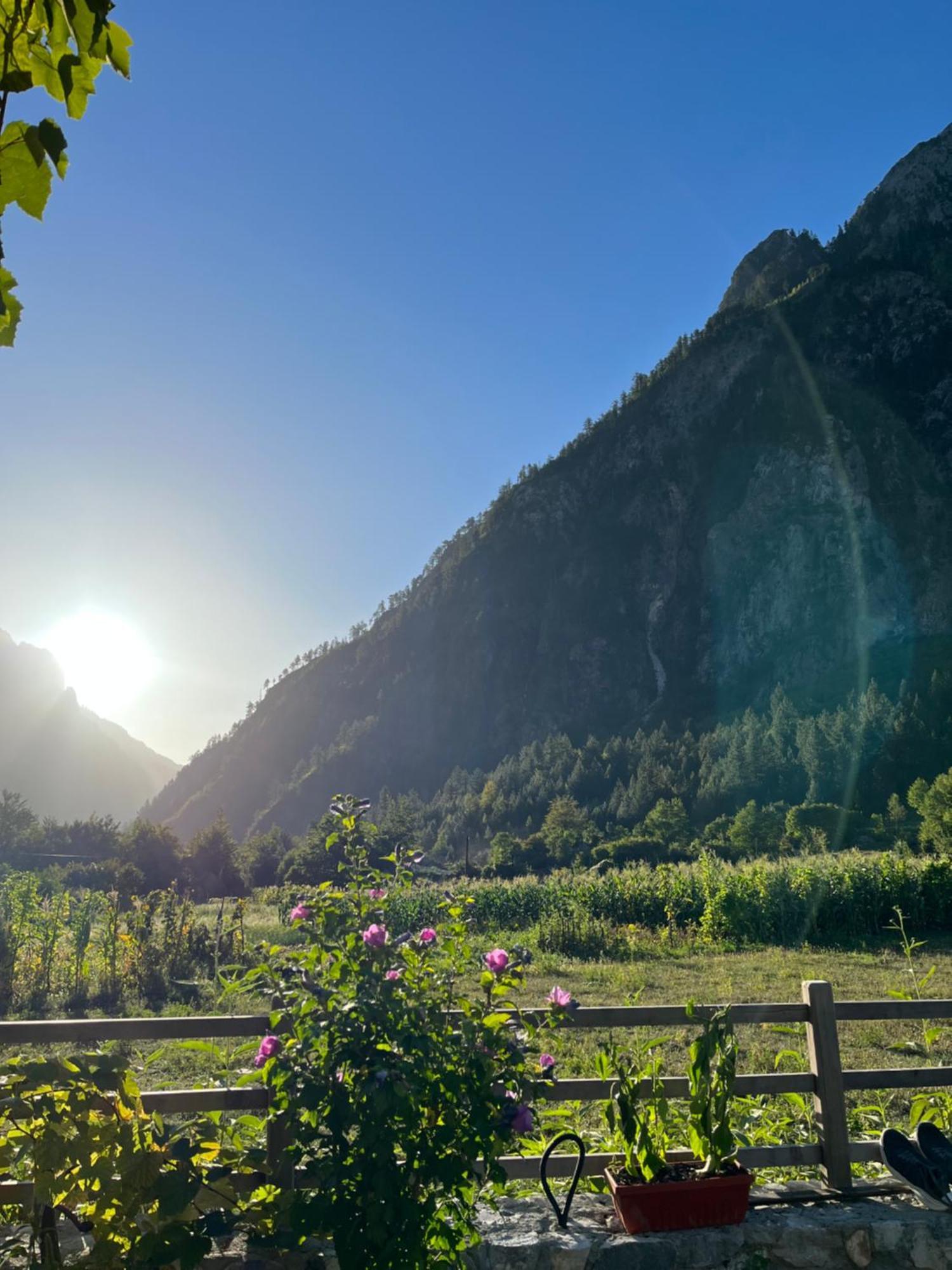 Guesthouse Gezim Selimaj Valbona Exteriör bild